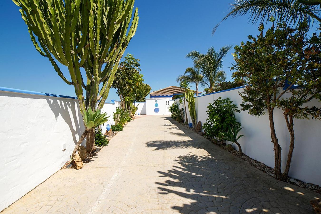 Villa Yuca Con Piscina Privada En コニル・デ・ラ・フロンテラ エクステリア 写真